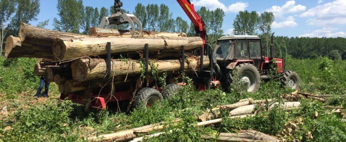 Isporuka za JP „Vojvodinašume“